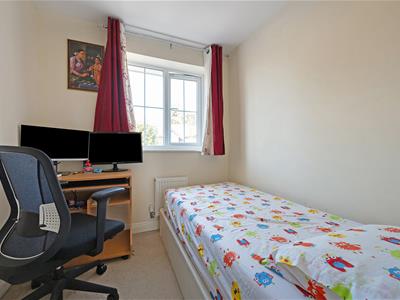 Picture 16